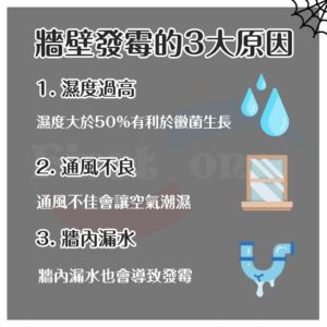 牆壁發霉怎麼辦？牆壁發霉原因、牆壁發霉處理方法一次看